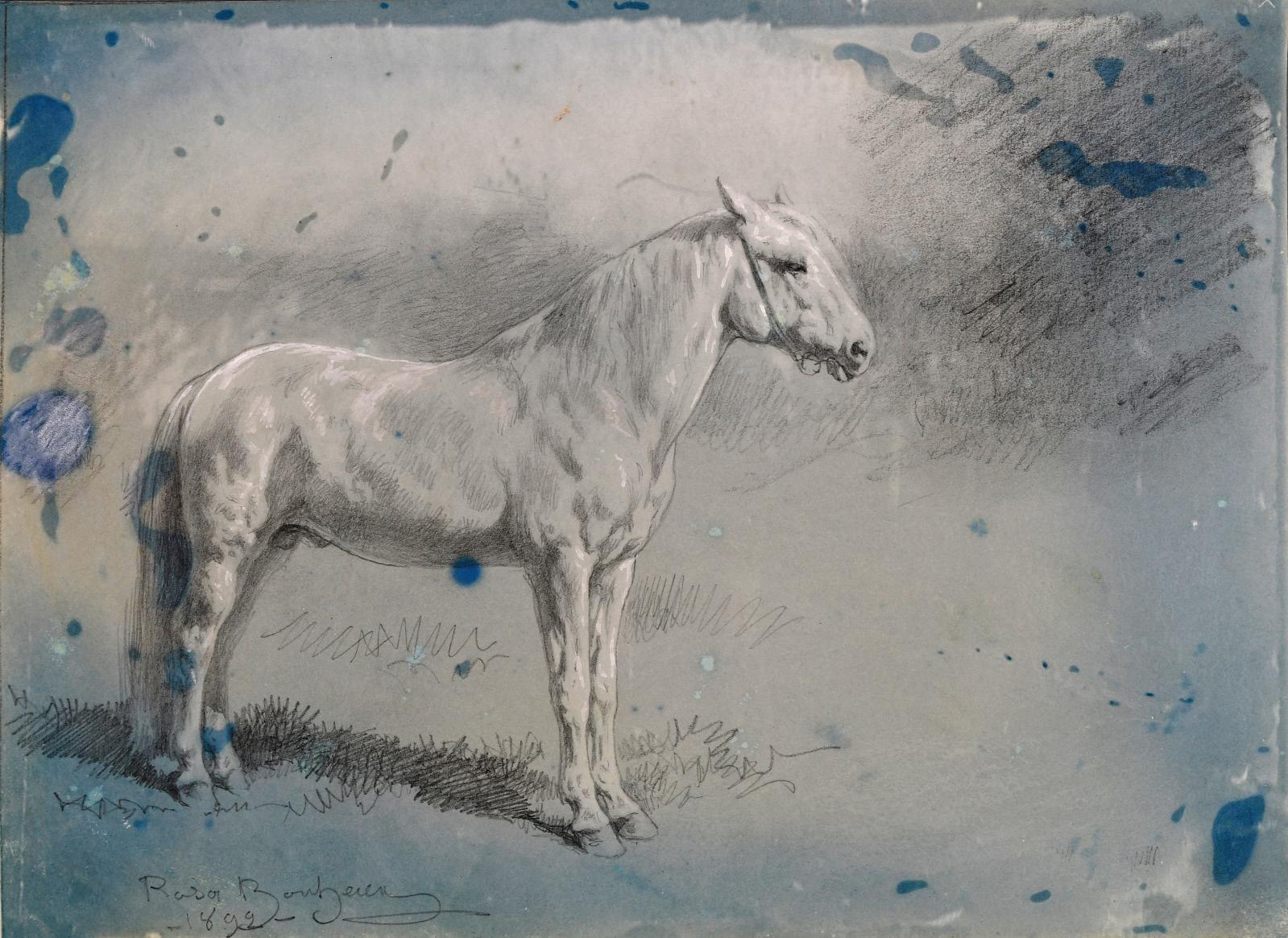 Rosa Bonheur (1822-1899), Cheval de profil droit (Horse in Right Profile), cyanotype highlighted with graphite and white gouache on vellum