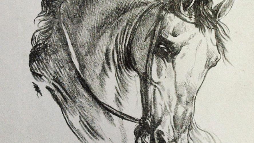 Carle Vernet (1758-1836), Collection de chevaux de tous les pays montés de leurs... Carle Vernet et l’âme des chevaux