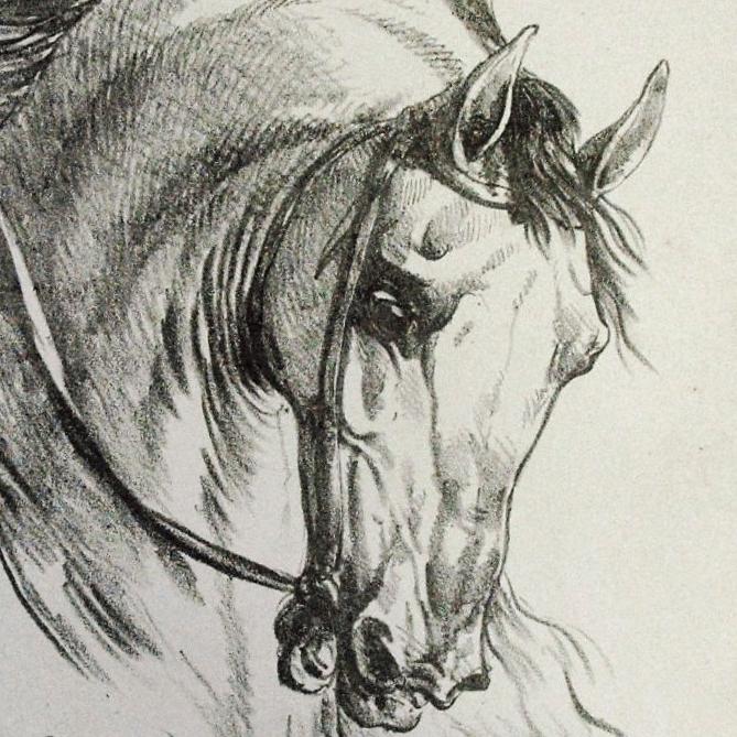 Carle Vernet et l’âme des chevaux