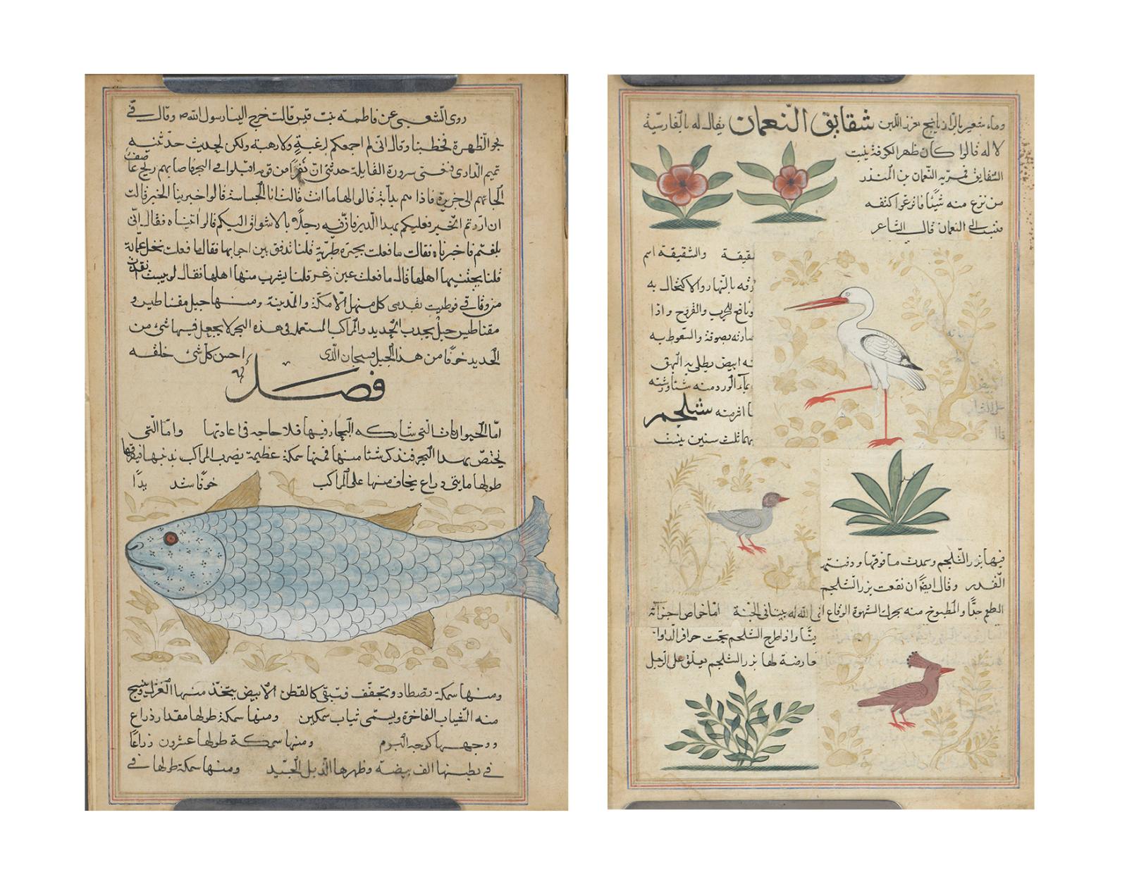 Probablement extraits d’un manuscrit de l’Aja’ib Al-Makhluqat, ou Les Merveilles des choses créées et les curiosités des choses existantes