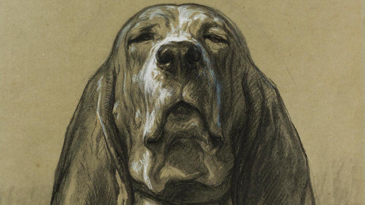 Rosa Bonheur (1822-1899), Tête de chien, 1869, fusain, pastel et craie blanche sur... Rosa Bonheur et le monde animal : une artiste polyvalente exposée à Bordeaux