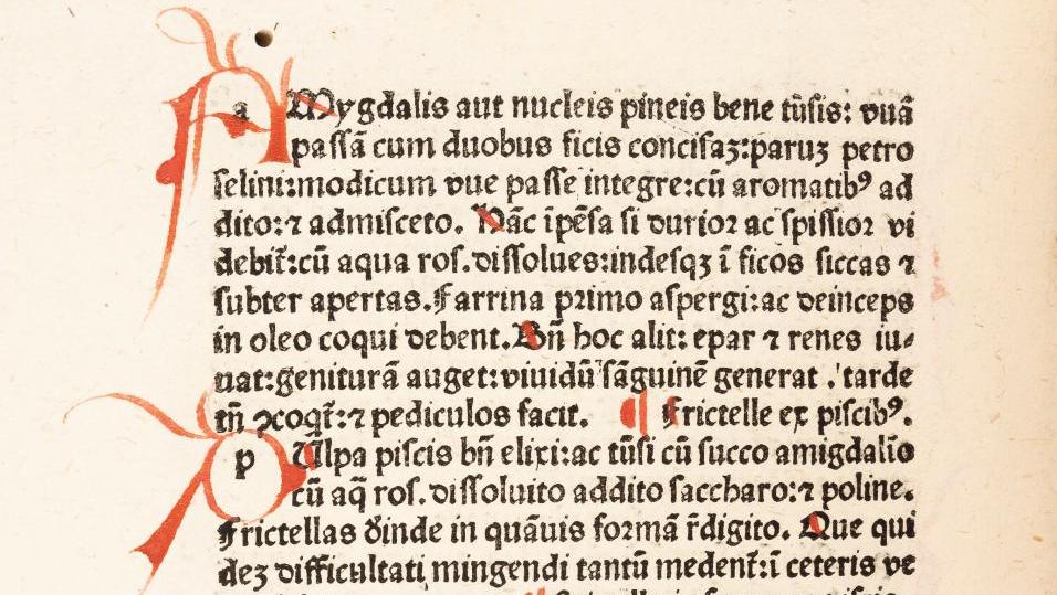 Bartolomeo Sacchi, dit il Platina  (1421-1481), De honesta voluptate e valitudine,... Tout est bon dans la bibliothèque Bon !