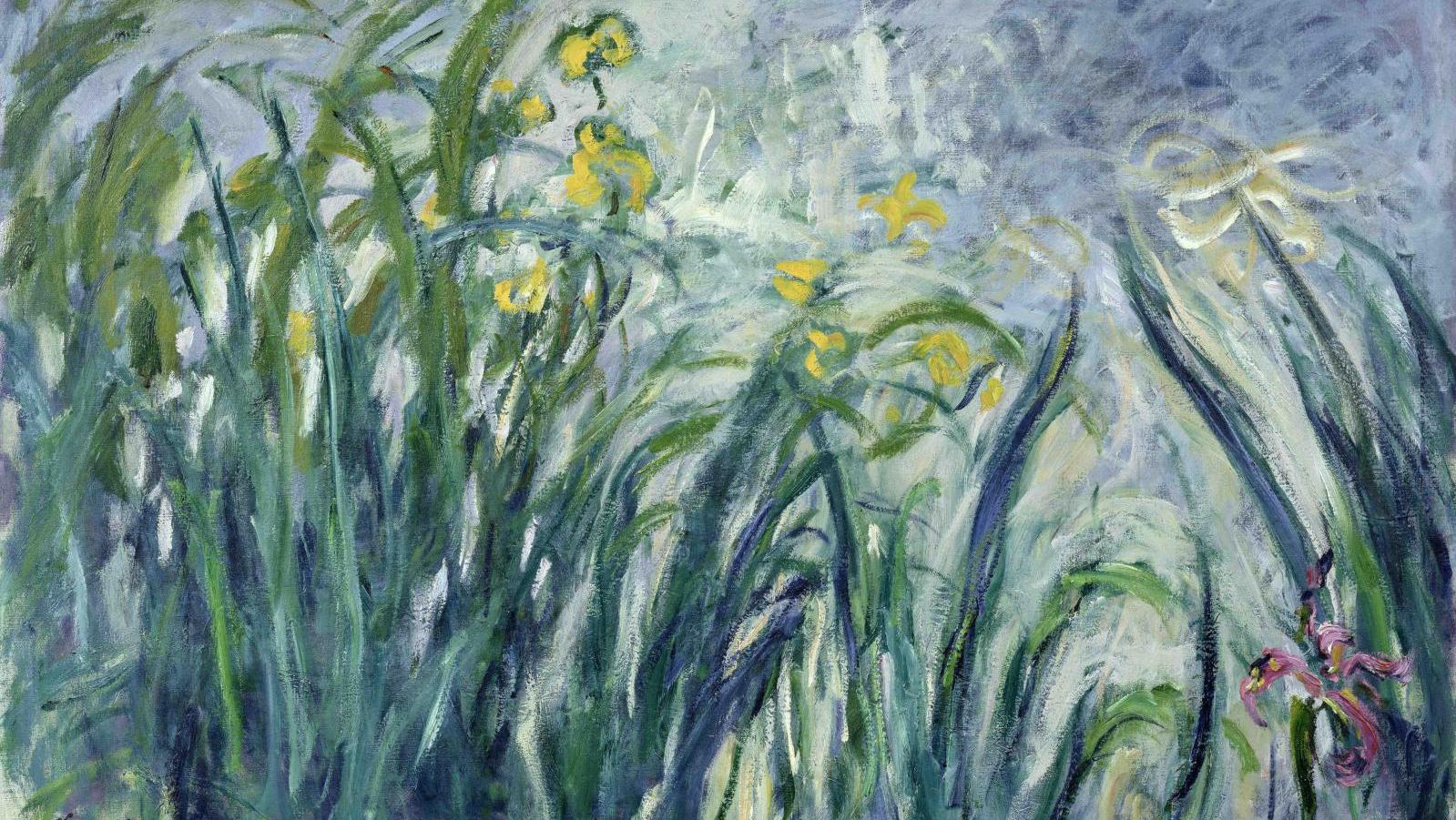 Claude Monet (1840-1926), Iris jaunes et mauves, vers 1924-1925, huile sur toile,... Métamorphoses. Dans l’art de Claude Monet