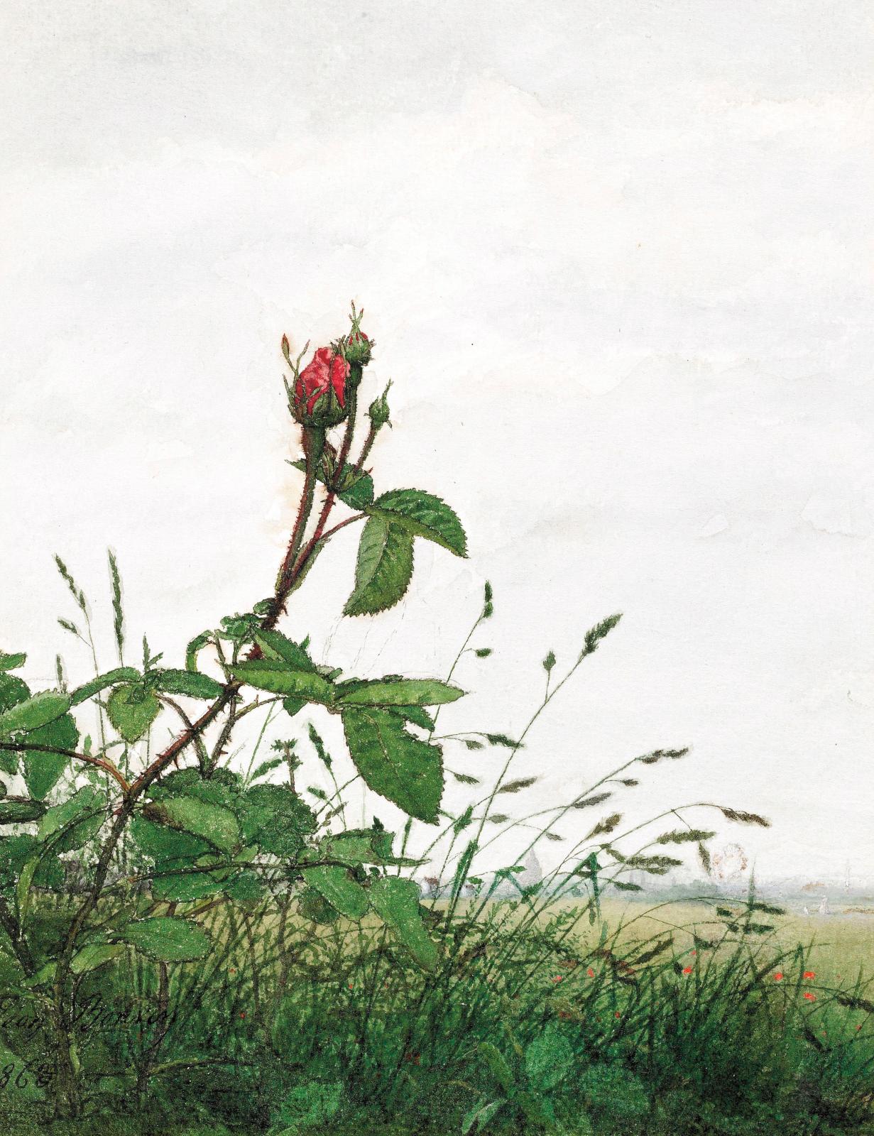 Léon Bonvin, Bouton de rose devant un paysage, 1863, plume et encre brune, aquarelle et gouache sur un tracé au graphite, rehauts de gomme
