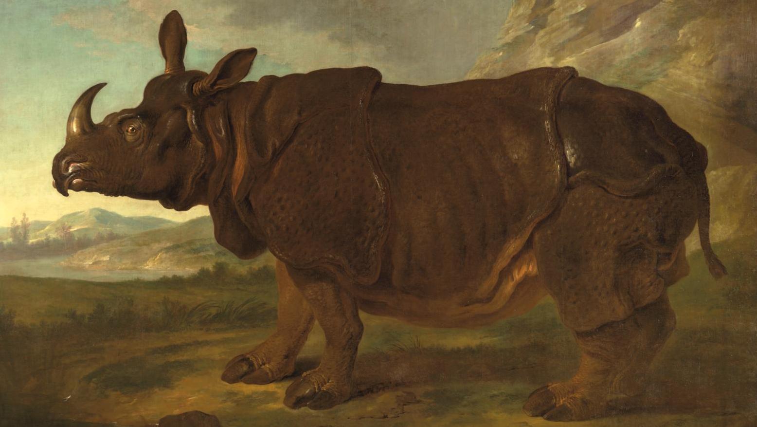 Jean-Baptiste Oudry (1686-1755), Rhinocéros, 1749. © Staatliches Museum Schwerin... Clara le rhinocéros au Rijksmuseum d’Amsterdam