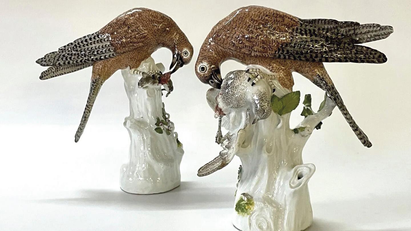 Meissen, milieu du XVIIIe siècle. Faucons crécerelles dépeçant leur proie, paire... À Meissen, des faucons  plus vrais que nature
