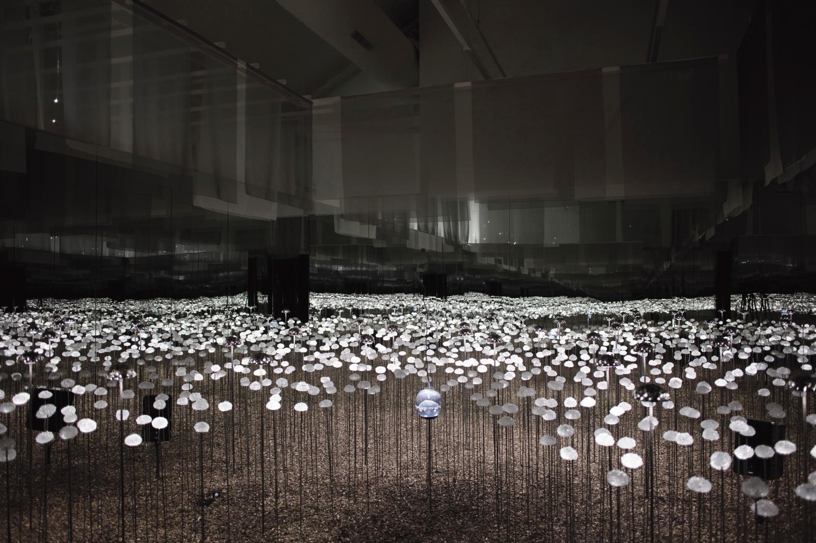 Stéphane Guiran (né en 1968), Le Chant des possibles, 2018, de la série « Les Jardins rêvés », installation à la Fondation Fernet-Branca. 
