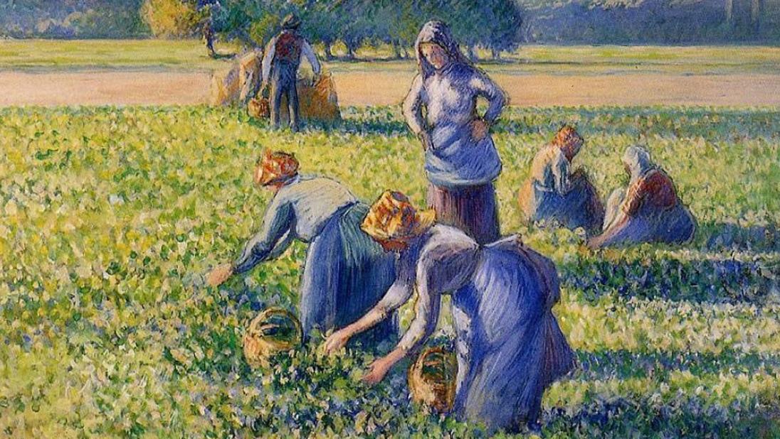 Camille Pissarro (1830-1903), La Cueillette des pois, 1887, gouache, 1887. Collection... Spoliation : le droit de propriété français en question