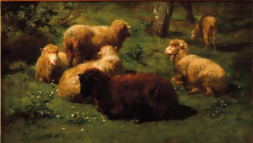 Rosa Bonheur (1822-1899), Les Moutons, huile sur panneau, 1852, 21 x 34 cm.Adjugé :... Rosa Bonheur, amie des bêtes 