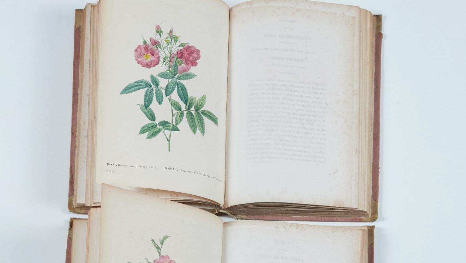 Pierre Joseph Redouté (1759-1840) et Claude Antoine Thory (1757-1827), Les Roses... Le dire avec des roses de Redouté 