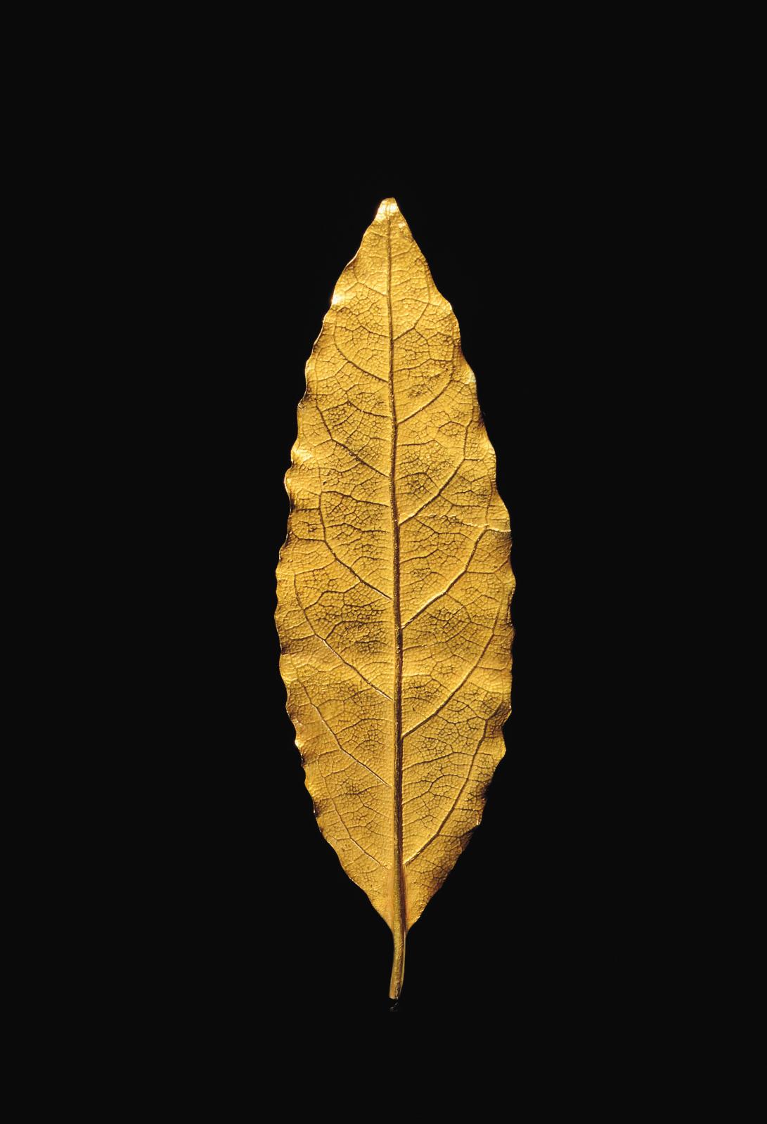 Imperial Gold Leaf