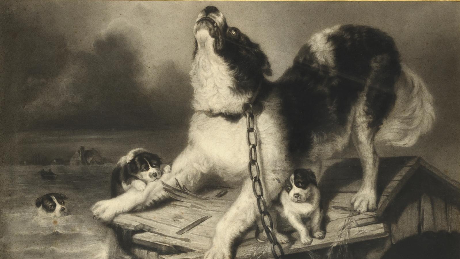 Rosa Bonheur (1822-1899), Famille de chiens à la dérive sur une niche, étude et esquisse... Un dessin de Rosa Bonheur d'après Edwin Landseer 