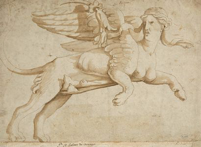 5 334 € Atelier de Jules Romain (1492/1499-1546), feuille d’études recto verso : la harpie en sphinge ailée, un chien et deux études de co