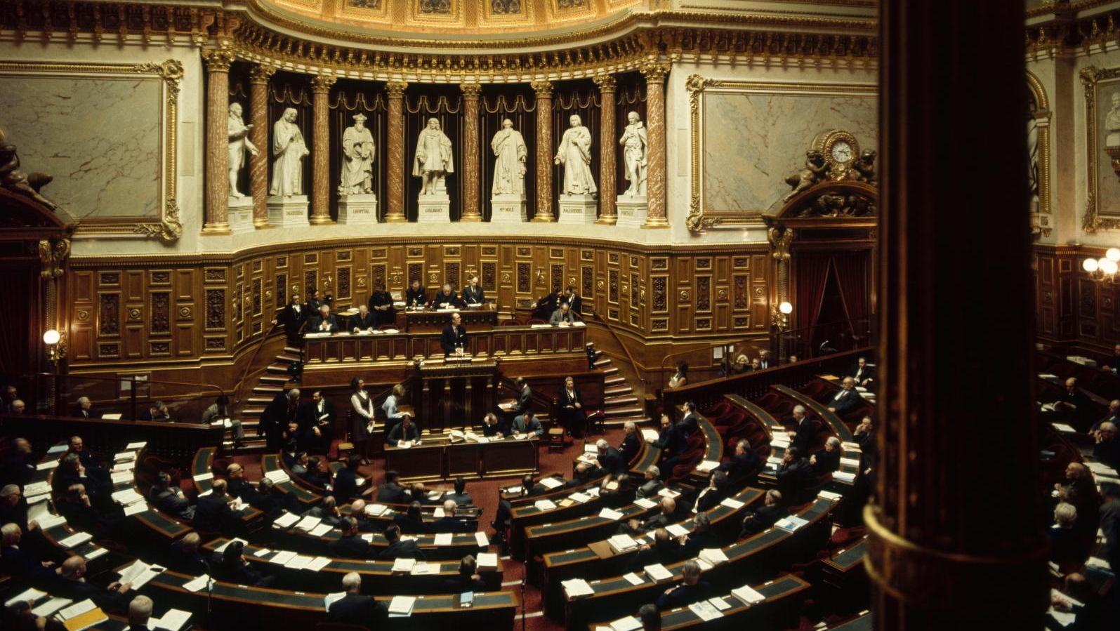 L’hémicycle du Sénat, palais du Luxembourg. PHOTO (C) RMN-GRAND PALAIS / J. BOUL... Restitutions : le rapport Martinez dresse un état des lieux