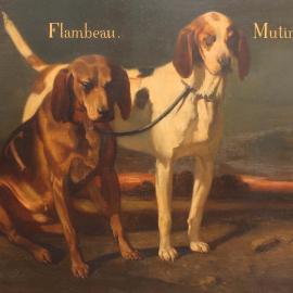 Les chiens de meute d'Édouard Armand-Dumaresq  - Après-vente
