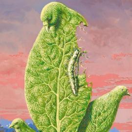 René Magritte, des larmes de chlorophylle 