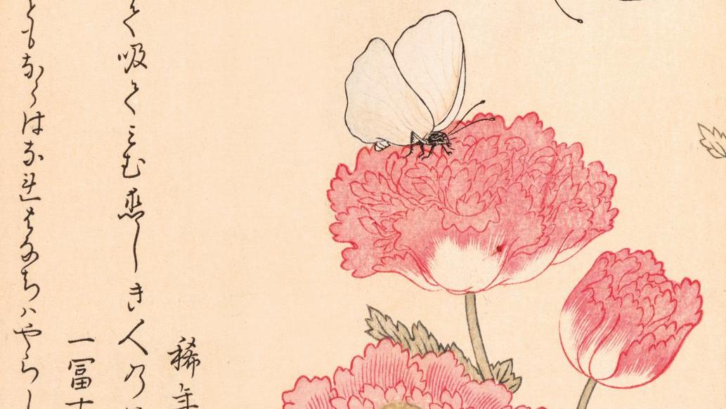 Utamaro Kitagawa, Album des insectes choisis, par Utamaro. Volume 1, Edo Tokyo Juzaburo... Le Cabinet des estampes de l’INHA