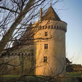 La renaissance du château de Suscinio, joyau médiéval breton  - Patrimoine