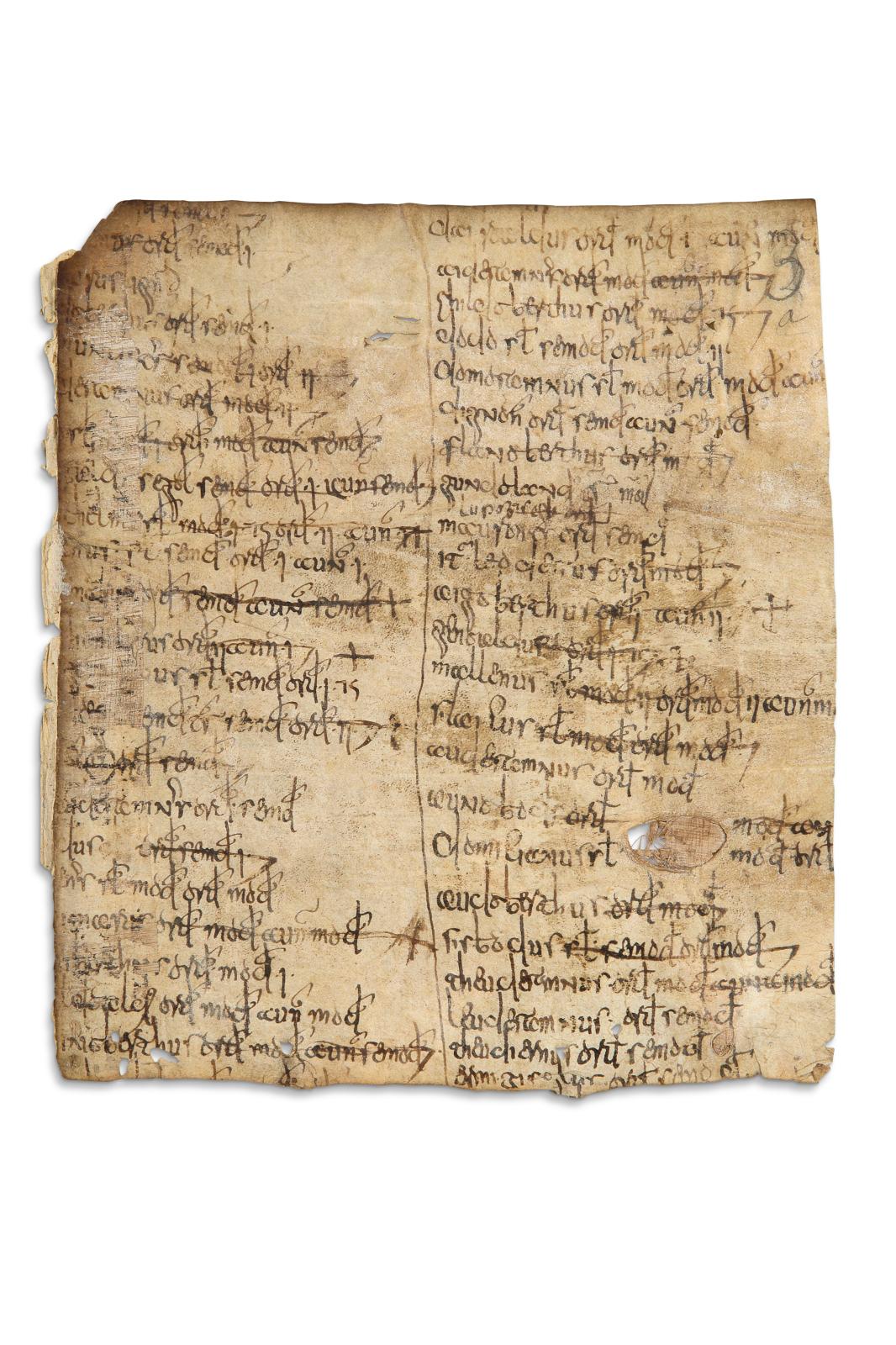 Un papyrus chez les Mérovingiens