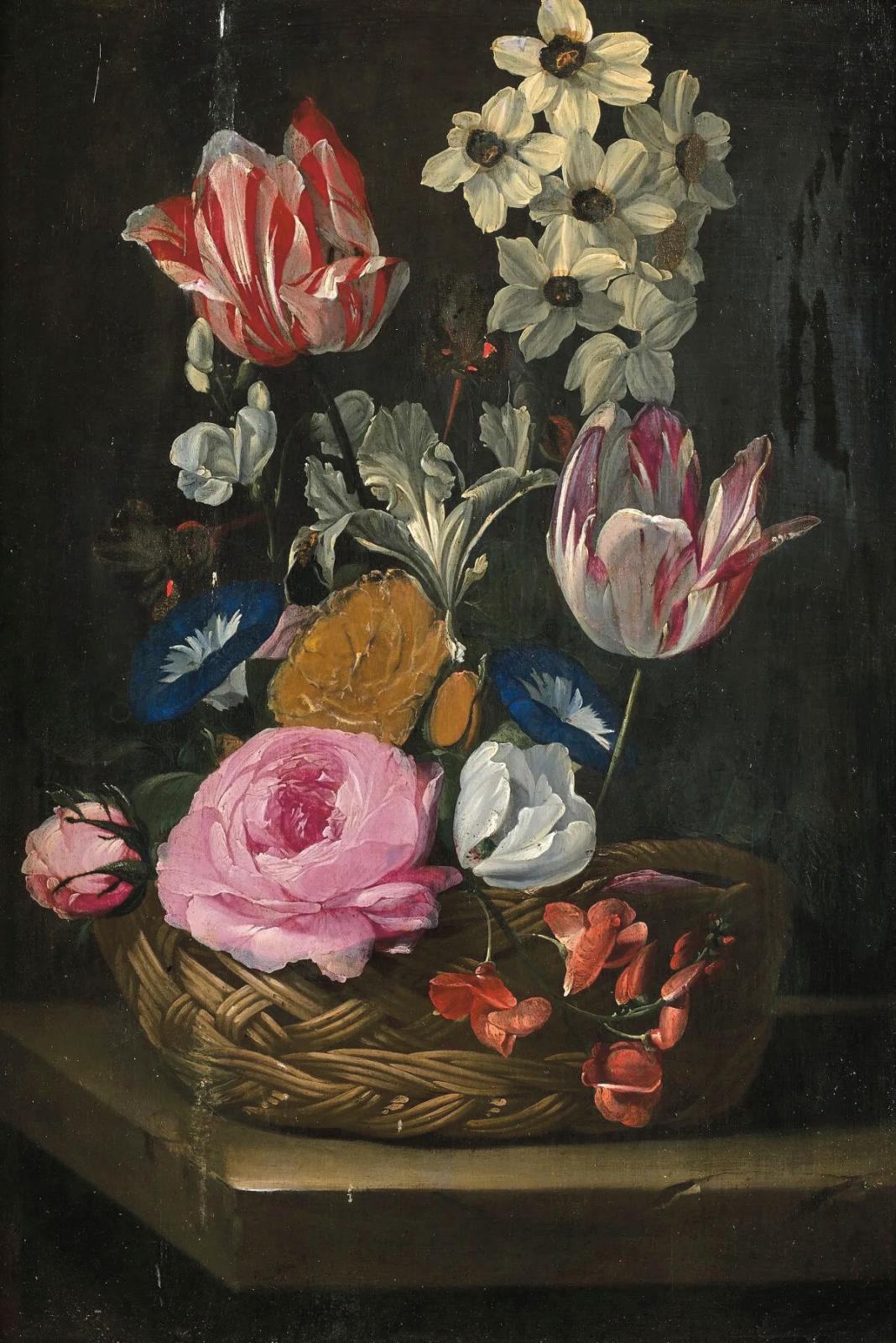 Précieuses tulipes de Jan van den Hecke