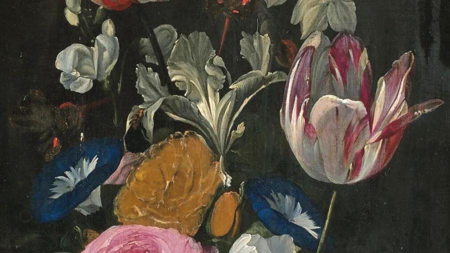   Précieuses tulipes de Jan van den Hecke