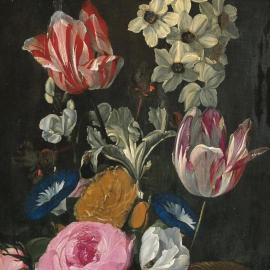 Précieuses tulipes de Jan van den Hecke - Panorama (avant-vente)