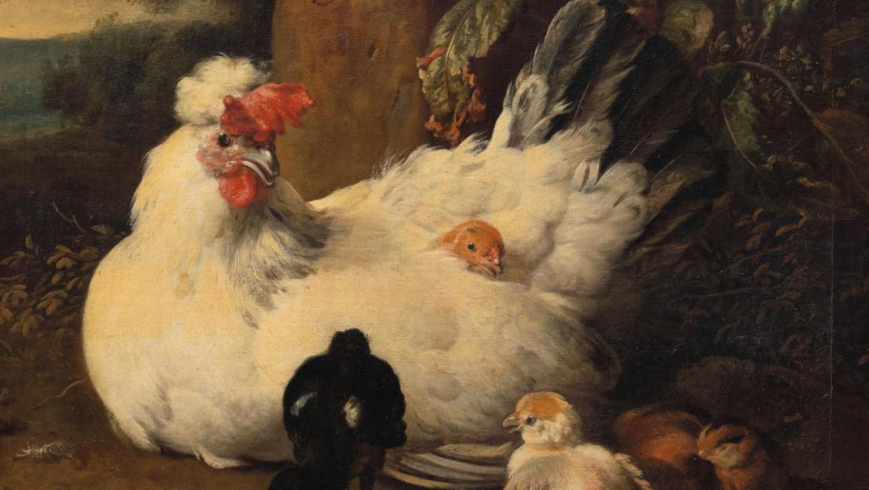 Melchior de Hondecoeter (1636-1695), Poule et poussins avec un bouvreuil, huile sur... Une vraie mère poule par Hondecoeter 