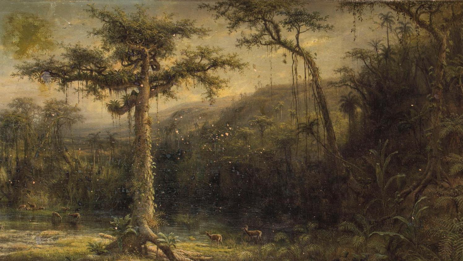 Henri Cleenewerck (1818-1901), Les Biches au bord de l’eau, paysage cubain, huile... Henri Cleenewerck,  des Flandres à Cuba