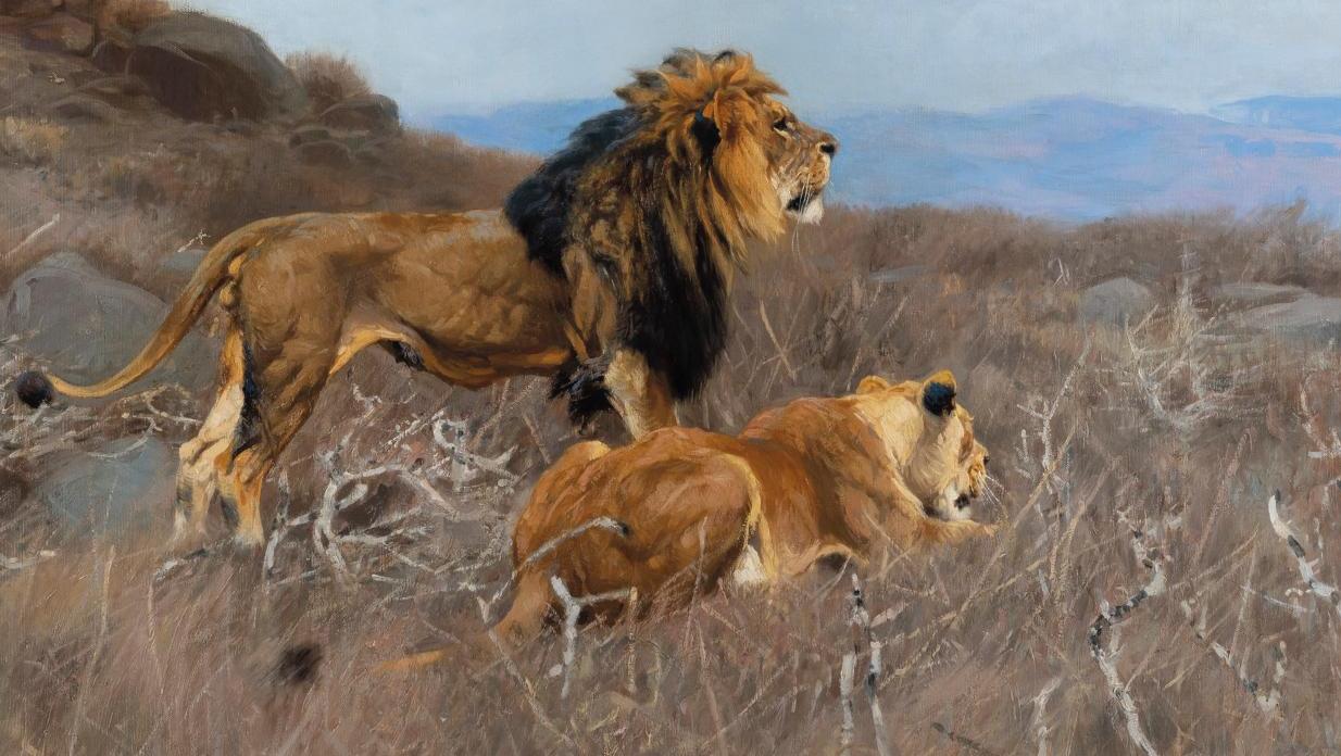 Wilhelm Kuhnert (1865-1926), Löwen auf dem Raubzug (Lions en pleine prédation), vers... Wilhelm Kuhnert, la nature en majesté