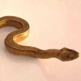 Serpent serpentant de Sandoz