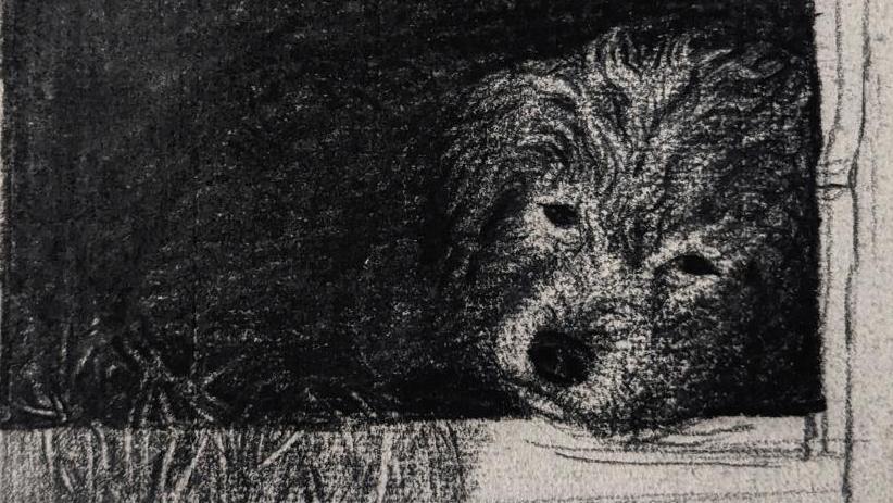 Léon Bonvin (1834-1866), Un chien dans sa niche, pierre noire, 24 x 15,5 cm. Estimation... Léon Bonvin, dessinateur du quotidien