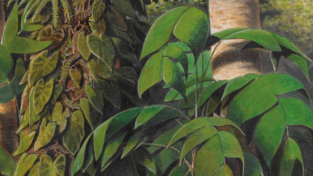 William Michaud (1829-1902), Palmes de guarana dans la jungle brésilienne (Guarana... Traveled Wonderfully Mapped at the Salon du Dessin in Paris