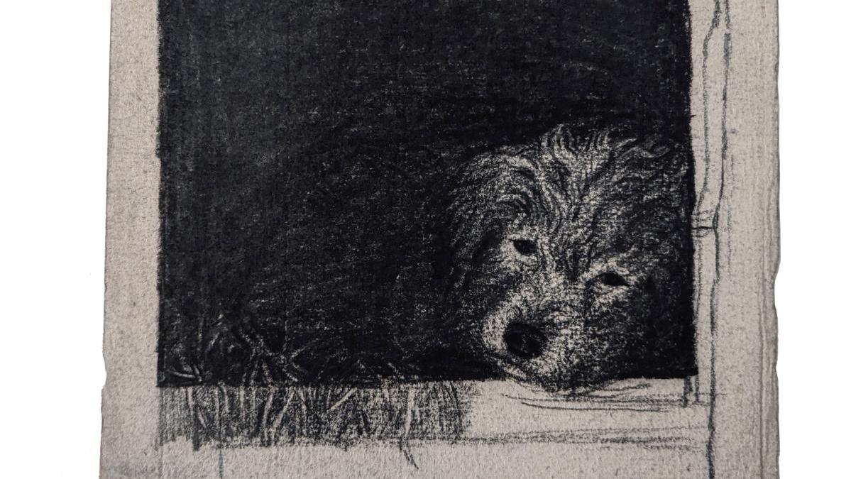 Léon Bonvin (1834-1866), Un chien dans sa niche, pierre noire, 24 x 15,5 cm. Adjugé :... L’univers intimiste de Léon Bonvin