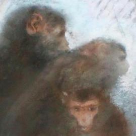 Lévy-Dhurmer et les trois petits singes - Panorama (après-vente)