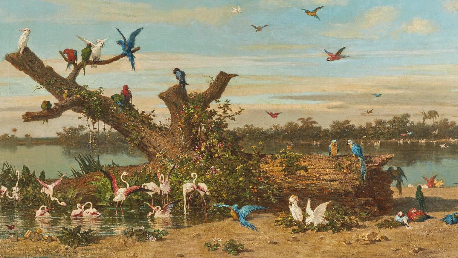 Charles-Émile Vacher de Tournemine (1812-1872), Flamants et perroquets, vers 1866-1867,... Record pour le paradis aux oiseaux de Vacher de Tournemine