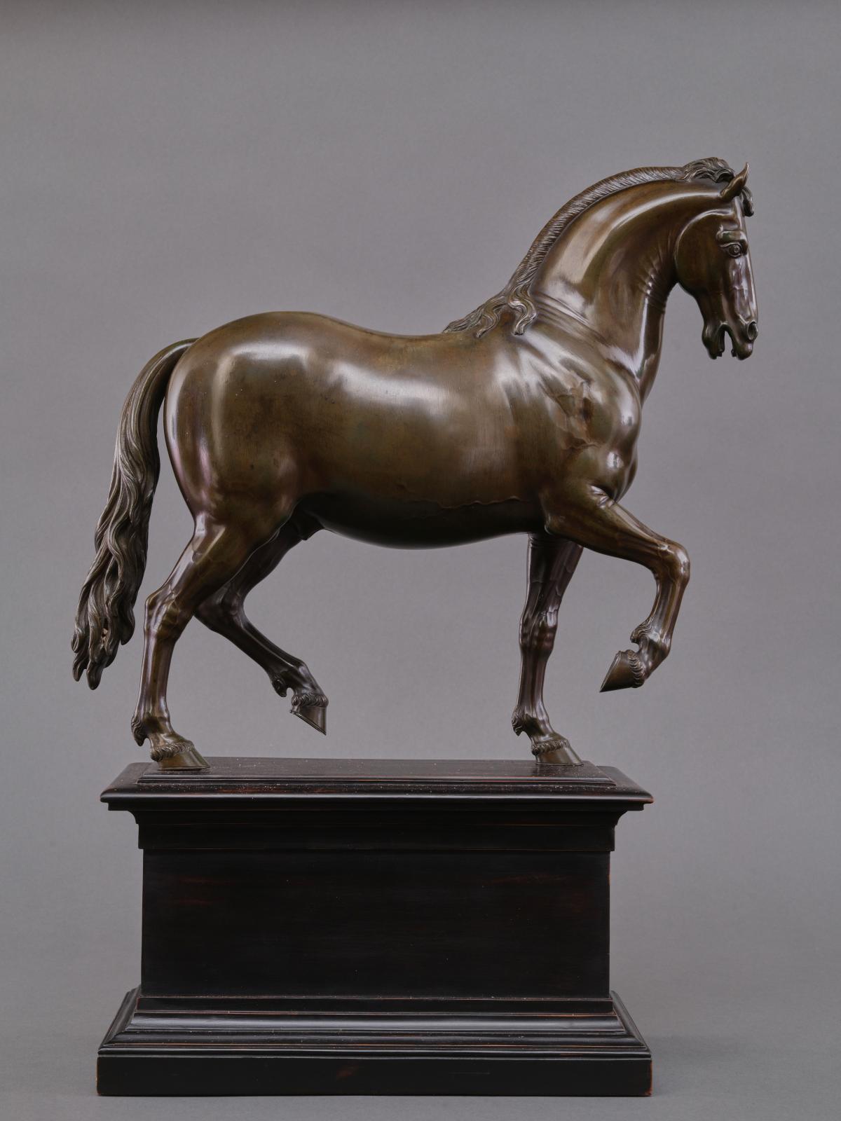 Un fier cheval d’Antonio Susini