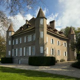 Le beau patrimoine du château de Nernier aux enchères 