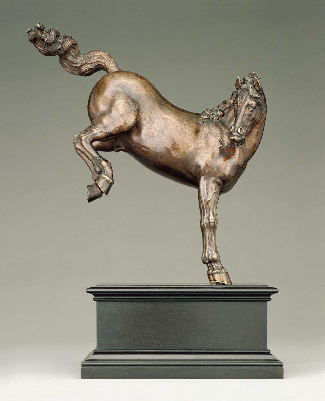 The Horse in Majesty at Versailles