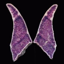 Améthyste papillonnante