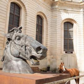 Le musée vivant du Cheval de Chantilly s'offre un coup de jeune - Patrimoine