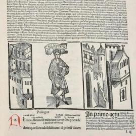 Un incunable pour Térence - Les adjugés