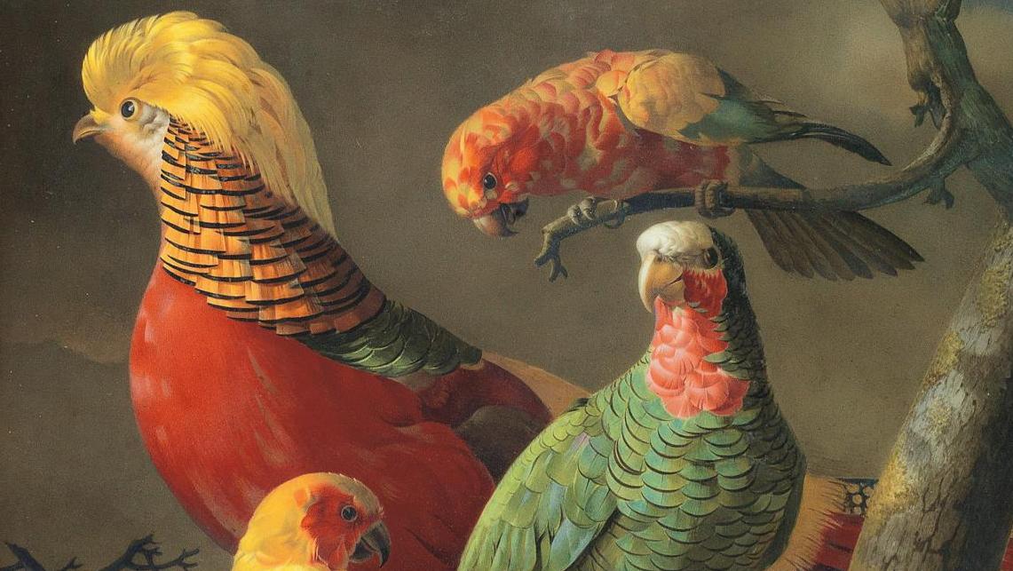 Jacques Barraband (1768-1809) et manufacture de Dihl et Guérhard à Paris, peinture... Oiseaux de Barraband et prince bouddhique