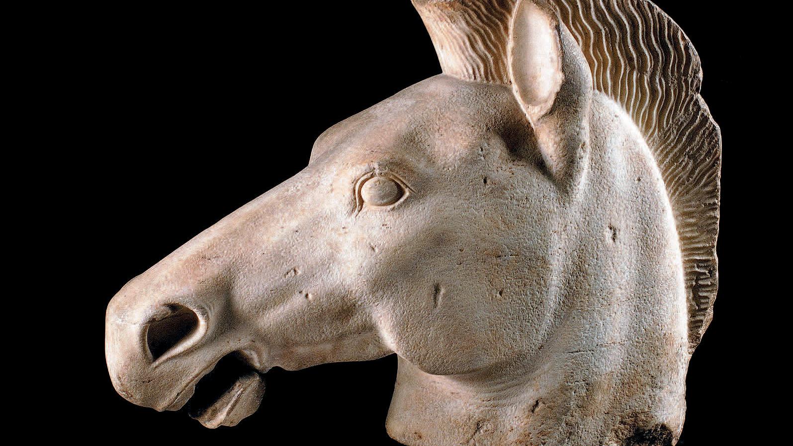 Grèce, Attique, fin du VIe siècle avant Jésus-Christ. Tête de cheval grandeur nature... Le marché de l'art grec