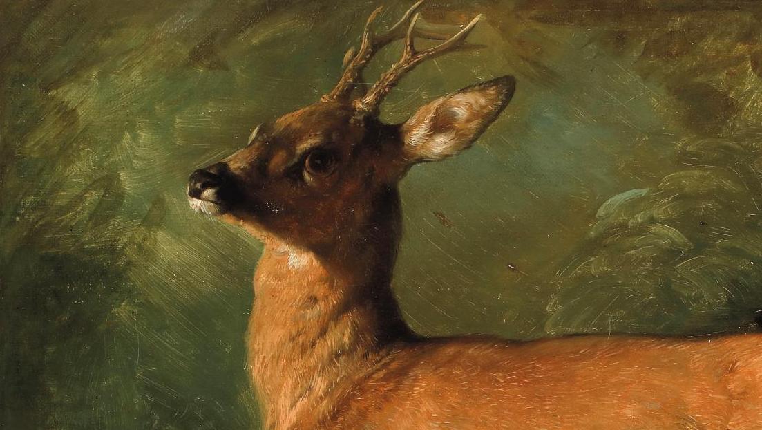 Raden Saleh (1811-1880), Jeune cerf, huile sur toile, 51 x 56 cm. Estimation : 5... Plus vraie que nature, la surprise du cerf