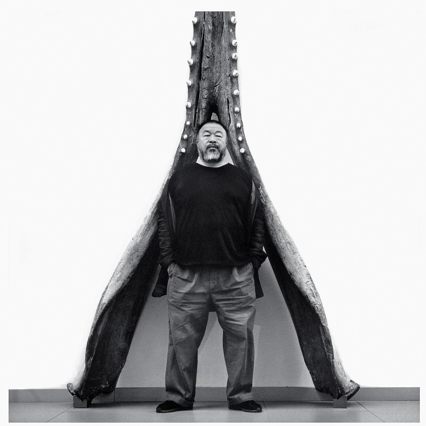 Ai Weiwei - Portrait