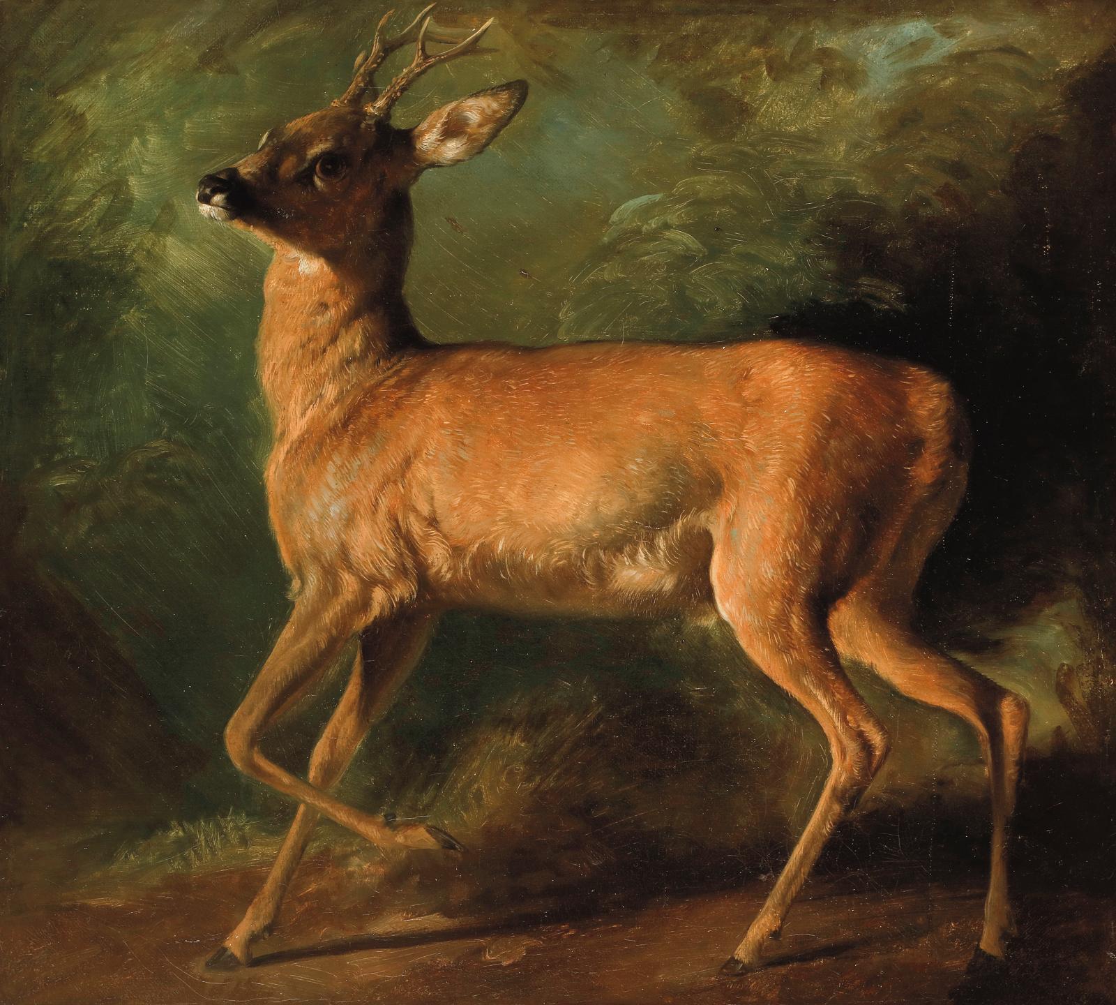 A Young Deer by Raden Saleh 