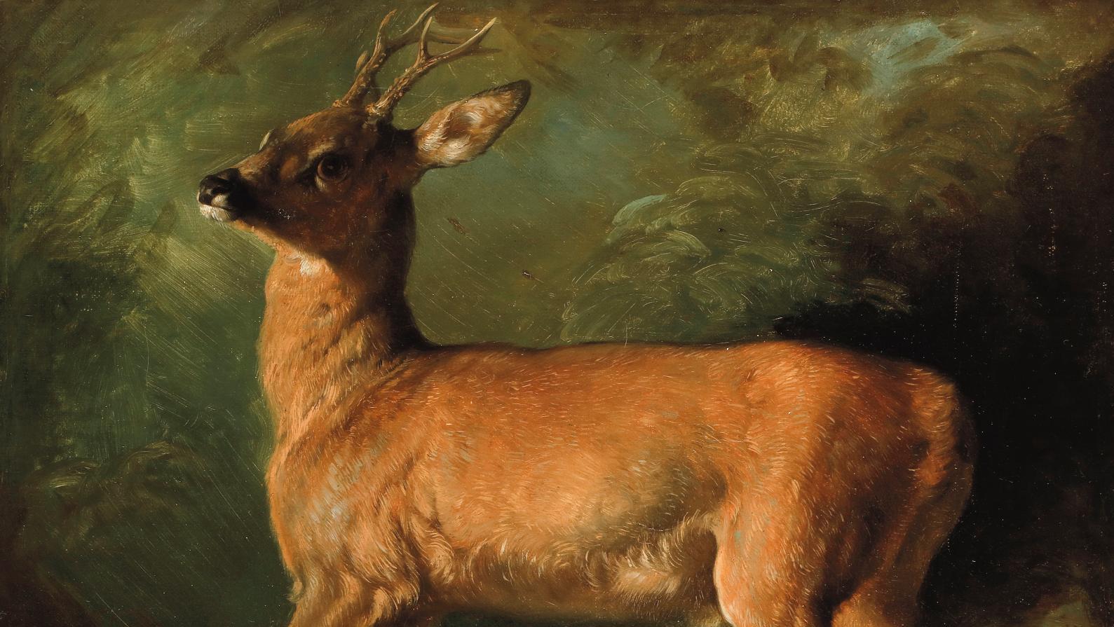 Raden Saleh (1811-1880), Young Stag, oil on canvas, 51 x 56 cm.Estimate: €50,000/80,000... A Young Deer by Raden Saleh 