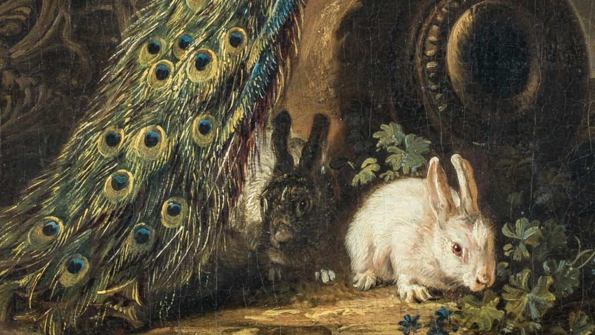 David de Coninck (1643/5-vers 1699), Paons et lapins (détail reproduit) et Perroquet,... Beauté hypnotisante