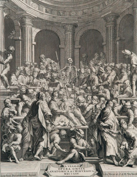 6 250 €André Vésale (1514-1564), Opera omnia anatomica & chirurgica […], Leyde, 1725, 2 volumes in-folio.Drouot, 9 décembre 2015. Binoche et Giquello 