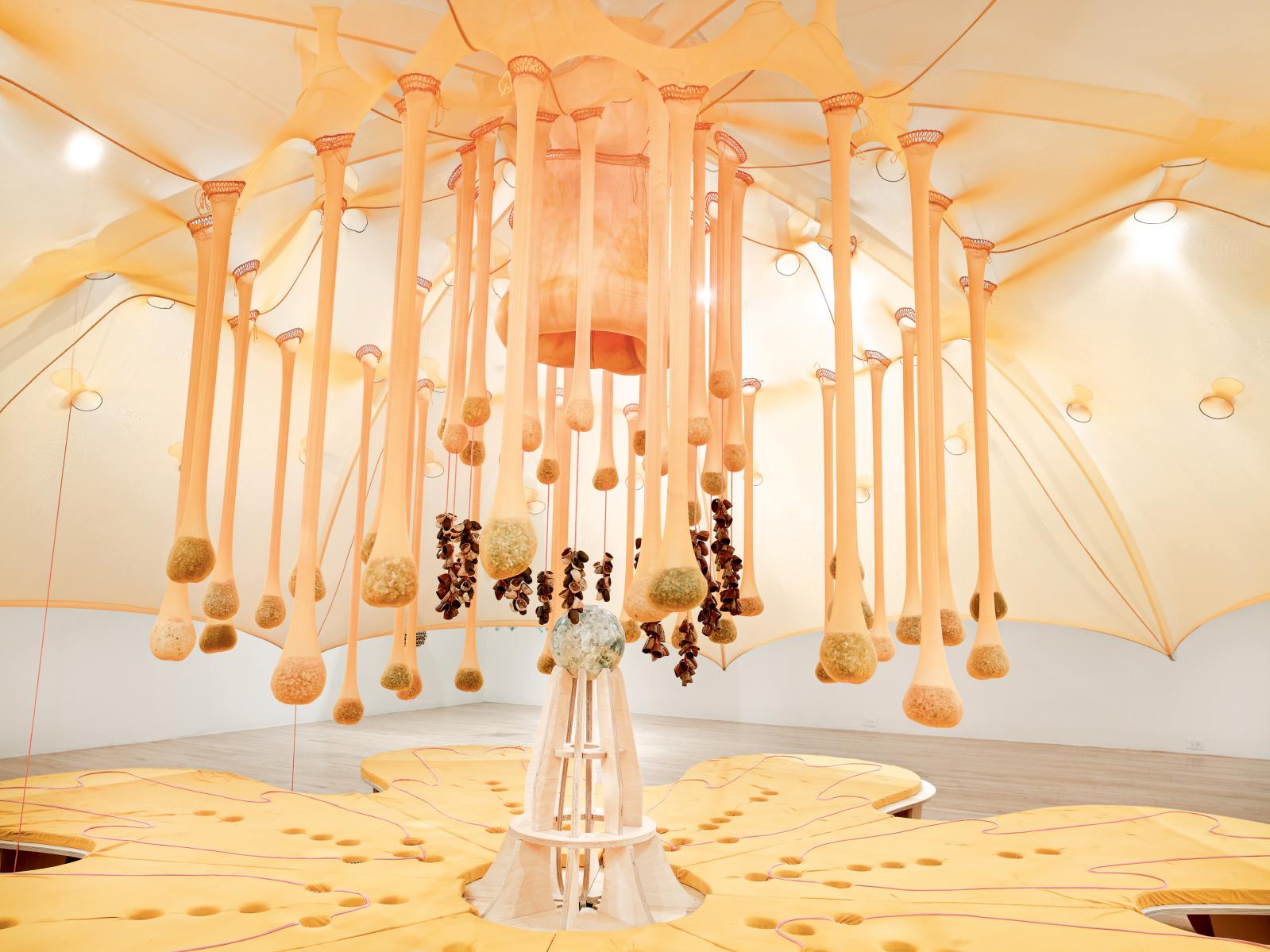 Ernesto Neto, Flower Crystal Power (détail), 2014, vue de l’exposition «Gratitude» à l’Aspen Art Museum, Colorado, en 2014. 